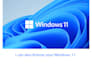 do license your microsoft office 365 and windows 11